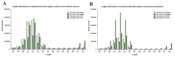 Length distribution of matched reads after quality control in adrenal cortex (A) and pituitary (B).