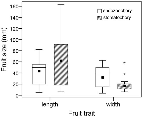 Size (length and width) of fruits whose seeds were dispersed by endozoochory and stomatochory by parrots.