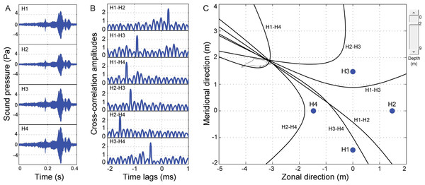Schematic of acoustic localization of humpback dolphins whistle.