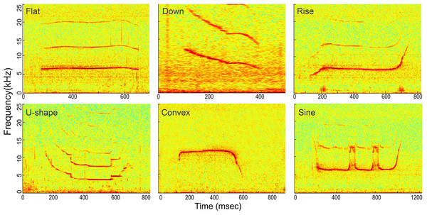 Spectrogram of the six whistle tonal types.
