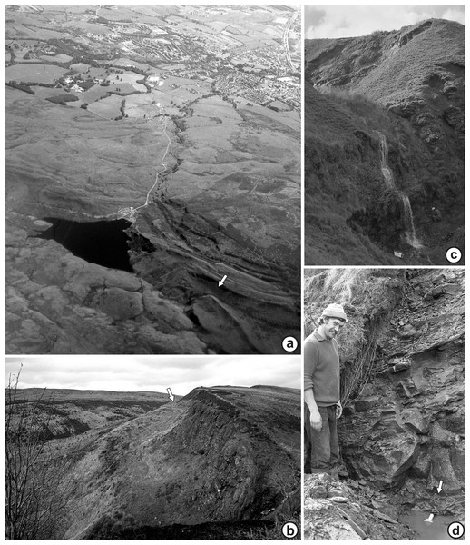 Geomorphological context of the Kilpatrick Hills plant-bearing localities.