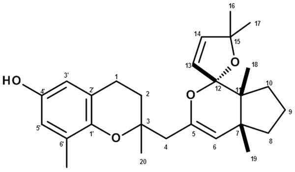 Structure of compound 1(demethoxy cystoketal chromane).
