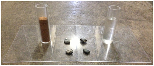 Water vs. Sand experiment.