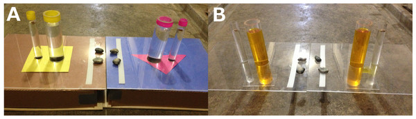 Colored U-tube (A) and Uncovered U-tube (B) experiments.
