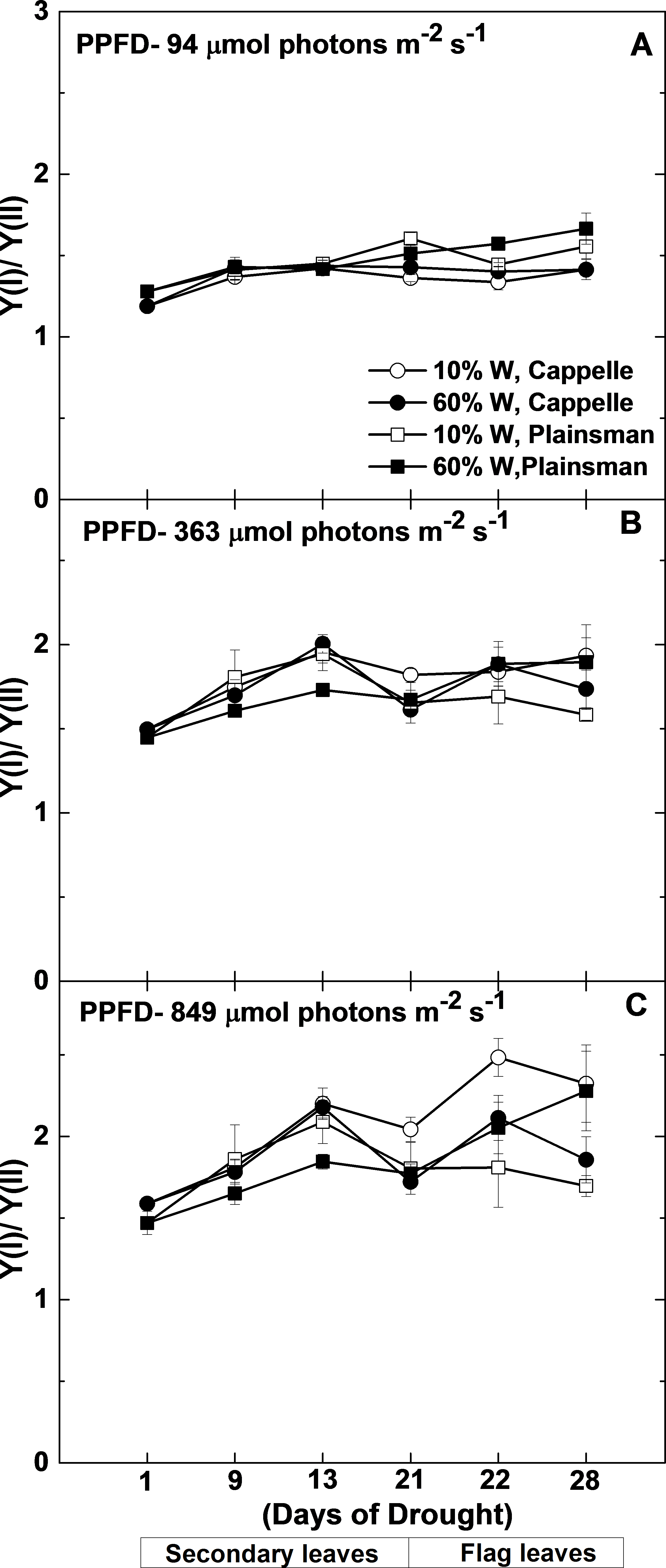 contrasting-response-of-biomass-and-grain-yield-to-severe-drought-in