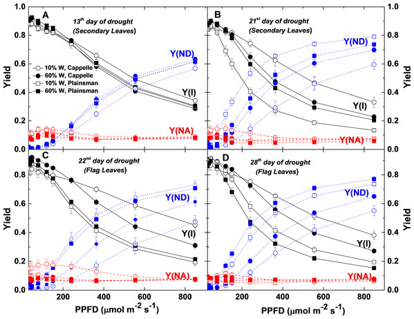 Light response of quantum yield parameters of PSI photochemistry.