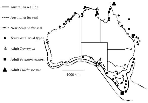 Map shows reported cases of Terranova larval types (circles), Adult Terranova spp (asterisk), adult Pseudoterranova spp (square), adult Pulchrascaris (triangle), distribution of Australian sea lion (solid line), Australian fur seal (square dots) and New Zealand fur seal (round dot).