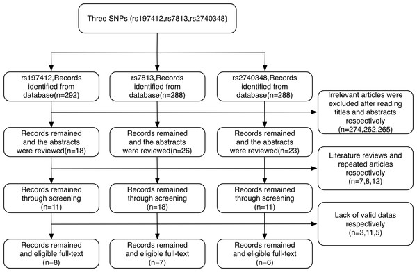 Flowchart for the identification of studies included in the meta-analysis.