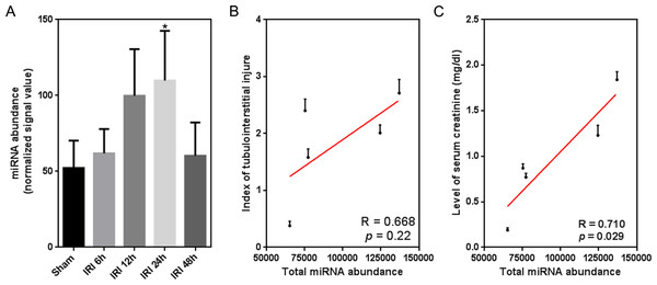 Temporal correlation between the expression of global miRNAs and renal function indexes.