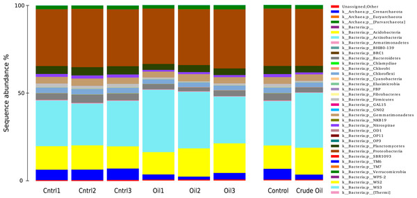 Relative abundance of Bacteria and Archaea phyla using 16S rDNA sequences.