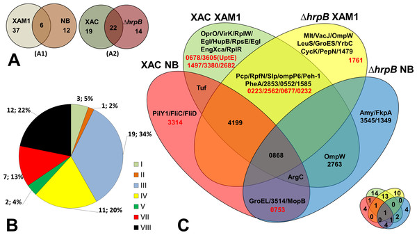 Comparative analysis of Xac secretome.