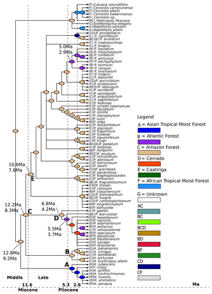Ancestral biome reconstructions and divergence time estimates of Philodendron and Homalomena lineages.