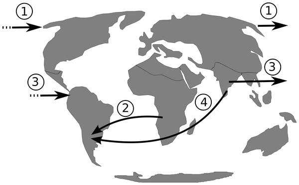 Putative dispersal routes of the ancestor of Philodendron and American Homalomena to the Neotropical region during the Miocene.