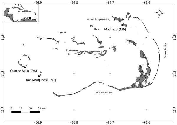 Map of Los Roques National Park, Venezuela, Southern Caribbean, showing the four reefs sampled at the Northeast (NE) and Southwest (SW) sectors.
