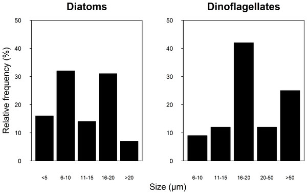 Relative frequency of the Diatoms (A) and Dinoflagellate (B) group size classes sampled in four reefs (GR, MD, DMS, CYA) located at the Northeast (NE) and Southwest (SW) localities of Los Roques during 9 consecutive days in August and September 2007 and 2008.