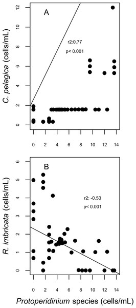 Correlation plots on abundances of Cerataulina pelagica (A) and Rhizosolenia imbricata (B) and the abundance of Protoperidinium species; corresponding to the spawning event of 2007 in two reefs (DMS, CYA) located at the Southwest (SW) sector of Los Roques.