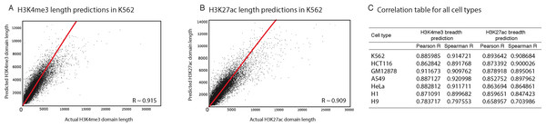 Our computational models can predict the length of H3K4me3 and H3K27ac domains with high precision.