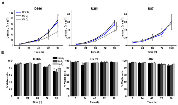 Exposure to physiological and pathophysiological levels of hypoxia has minimal effects on GBM cell proliferation and survival.