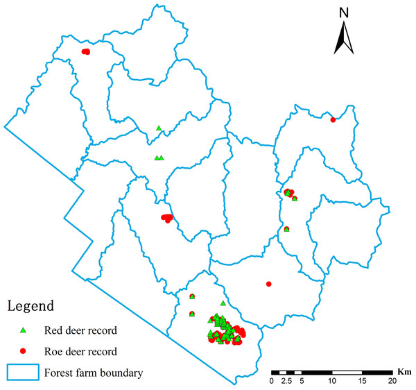 Records of deer presence in the Tieli Forestry Bureau used to model the current distribution of the species.