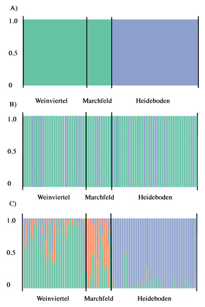 Output of BAPS (A) and DAPC analysis with (B) and without (C) the find.clusters function showing the membership fraction (columns) of the inferred genetic units for West-Pannonian Great Bustards in each individual of the three studied breeding areas.