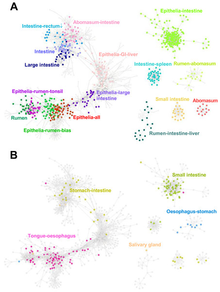 Gene co-expression network.