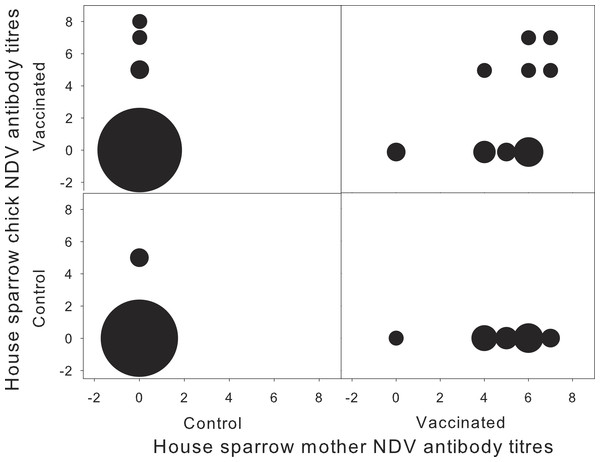 Concentration of NDV antibodies in house sparrow with respect to their mother, for each experimental treatment.