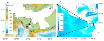 A crab swarm at an ecological hotspot: patchiness and population ...