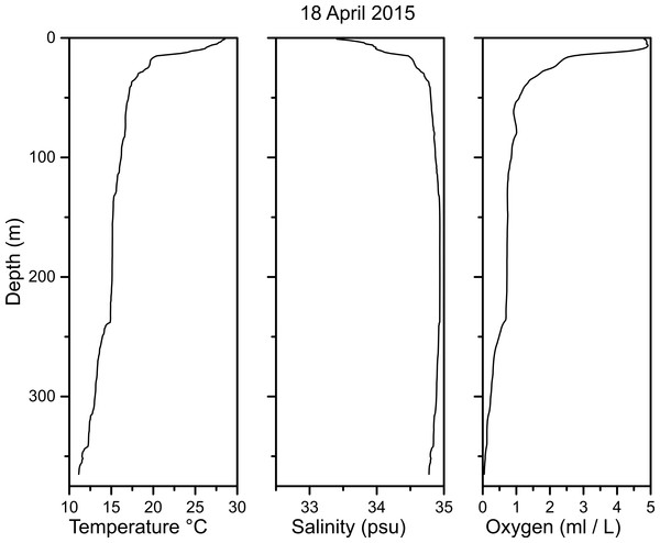 Temperature, salinity and oxygen profile measurements taken with a CTD on 18 April 2015 at a station a few tens of meters from the Seabed AUV transects.