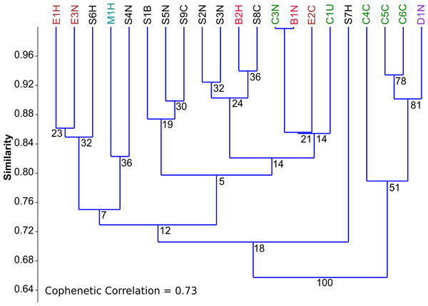 Comparison of trophic profiles among microalgal strains.