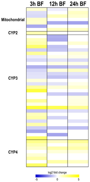 Heat map showing differential expression of transcripts encoding cytochrome P450 monoxygenases (CYP450s).