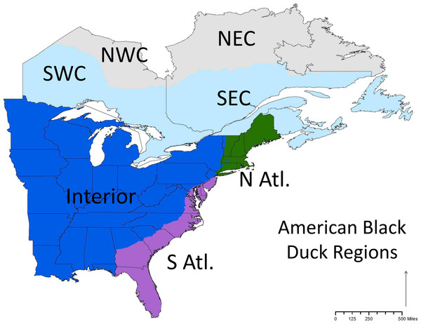 The conservation regions set by the Black Duck Joint Venture.