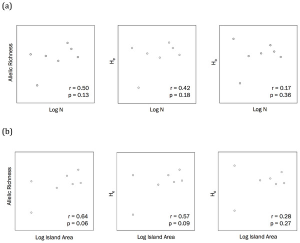 (A) Correlations to assess the relationship between Allen Cays Rock Iguana population size (N) and genetic diversity measures (allelic richness, expected heterozygosity (HE), observed heterozygosity (HO)) (alpha level = 0.05, n = 7). (B) Correlations between island area and allelic richness as well as island area and expected heterozygosity (alpha = 0.05).