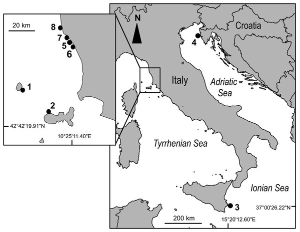 Map of the study sites in the Mediterranean Sea.