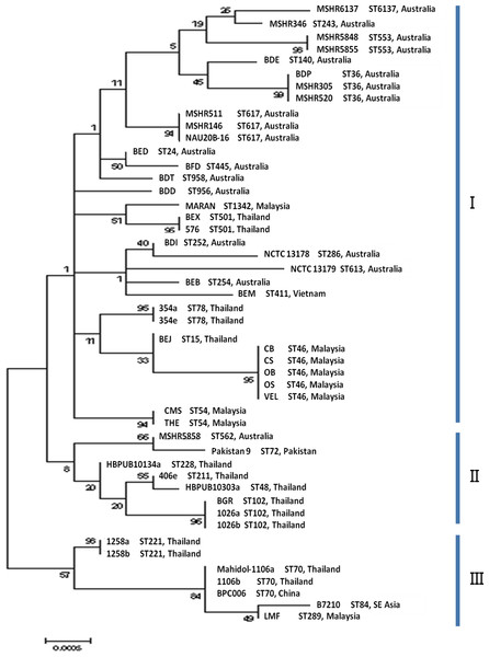 Maximum likelihood tree of MLST displaying the relatedness of the 48 B. pseudomallei isolates from endemic countries.