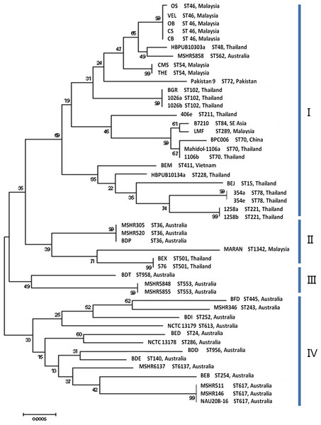 Maximum likelihood tree of sequence analysis of CIM genes displaying the relatedness of the 48 B. pseudomallei isolates from endemic countries.