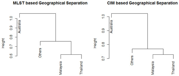 Single linkage hierachical clustering generated based on Unifrac distances of (A) MLST and (B) CIM genes to associate the relatedness according to countries.