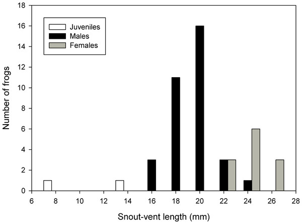 Frequency distribution of snout-vent lengths of Psychrophrynella chirihampatu.