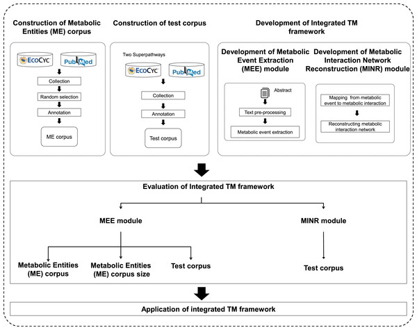 A schematic diagram outlining the development steps for the proposed integrated TM framework.