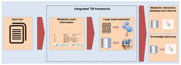 The integrated TM framework application.