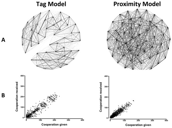 The distribution of cooperative interactions among agents in the Tag and Proximity Models.