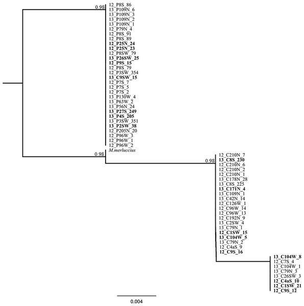 Phylogenetic tree based on locus Mmerhk-3b.