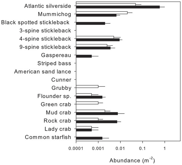 Mean abundance (+SE, n = 5) of species identified by visual surveys in shallow nearshore (white) and nearby eelgrass (black) habitats.