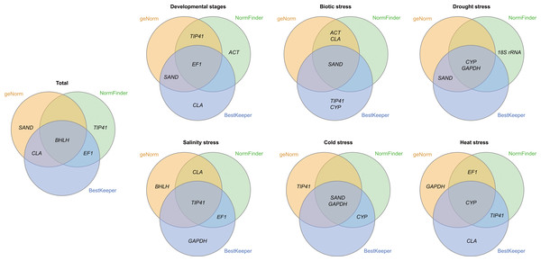 Venn diagram showing the most stable genes identified by geNorm, NormFinder and BestKeeper.