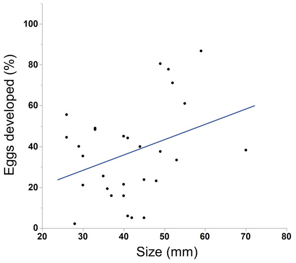 Correlation between body size and egg viability in M. leidyi.