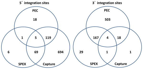 Venn diagrams of KoRV integration sites found by different methods.
