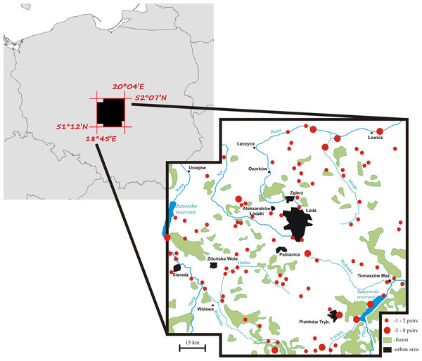 A map of the mute swan breeding territories within the study area, central Poland.