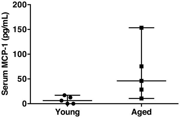 Serum MCP-1 distribution of aged and young mice.