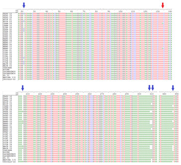 Unique haplotypes of cacao trees as revealed by trnH-psbA chloroplast ...