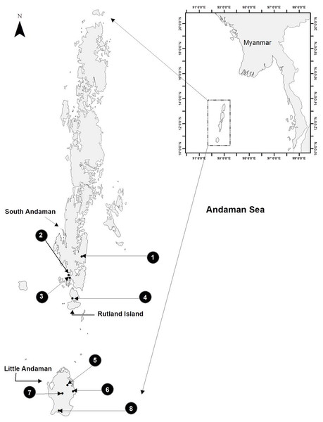 Study area map showing eight sampled sites on three islands of the Andaman archipelago.