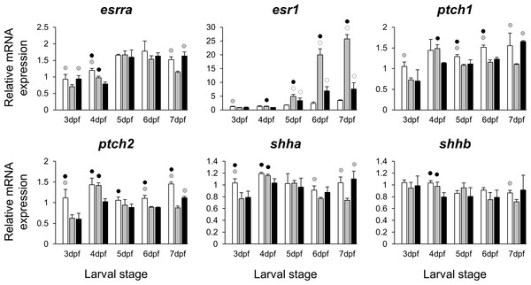 Expression differences of two estrogen receptors and components of hedgehog signaling pathway in developing heads of zebrafish larvae across control and E2 treated groups.